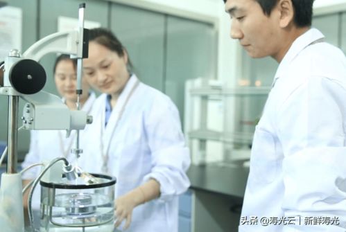 宏源防水 創(chuàng)新賦能，譜寫(xiě)綠色建筑新篇章