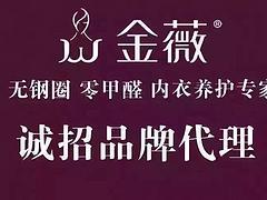 物超所值的金薇內衣選購指南 從透氣內衣廠家到購買渠道